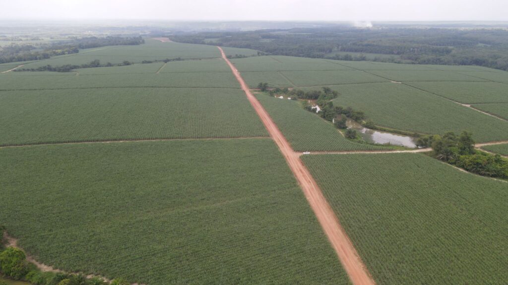 PSMI hero background other