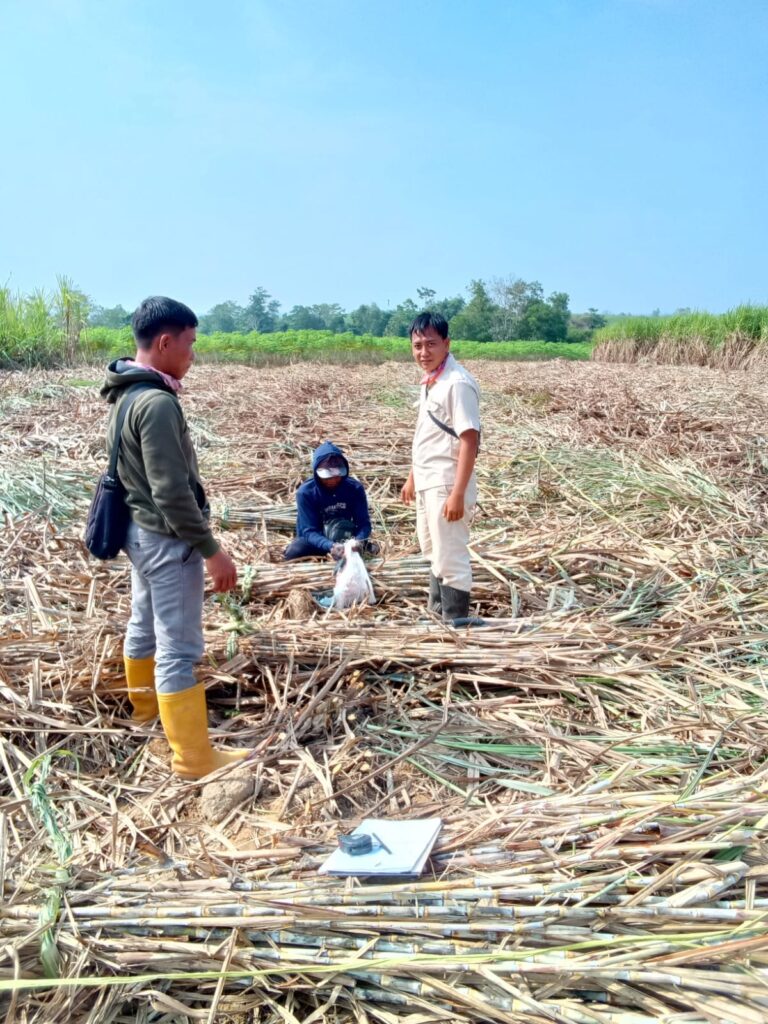 WhatsApp Image 2025-02-27 at 07.56.55